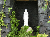 CIMG0401.jpg