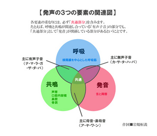 発声の3つの要素の関連図のコピー.jpg